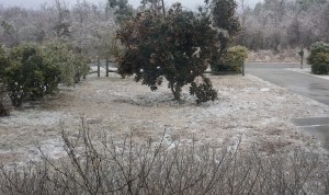 The "Before" pic, taken during an ice storm this winter. 